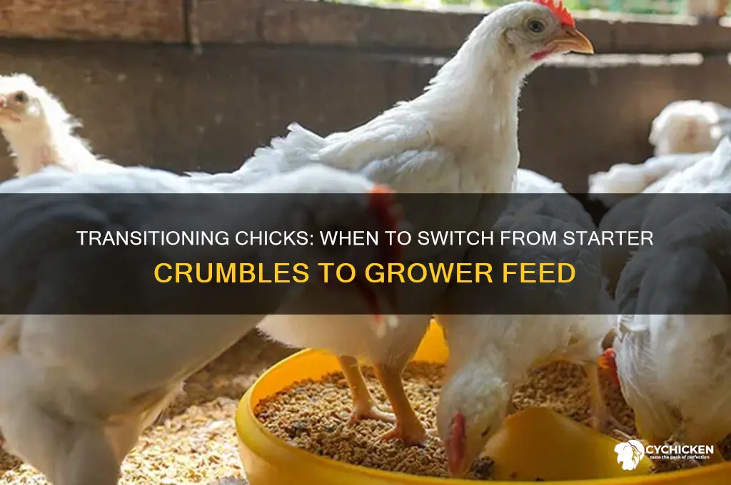 when do chicks stop with starter crumbles