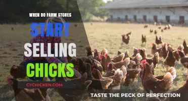 When Do Farm Stores Begin Selling Chicks Each Spring?