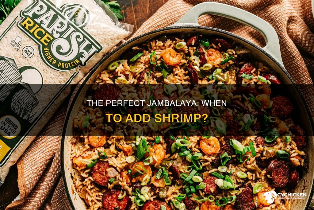 when do i add shrimp to chicken shrimp sausagejambalaya
