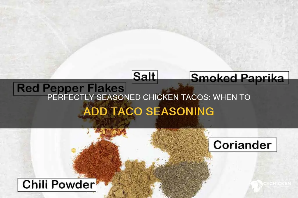 when do i add taco seasoning on chicken