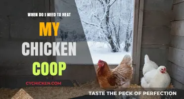 Cozy Quarters: Optimal Heating Times for Your Chicken Coop