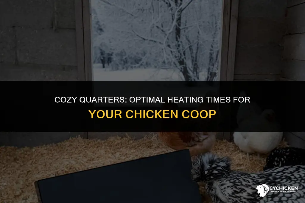 when do i need to heat my chicken coop