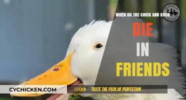 The Chick and Duck's Demise in Friends