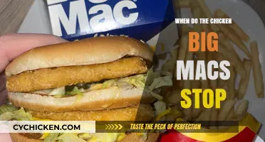 When Do Chicken Big Macs End? Availability Timeline Explained