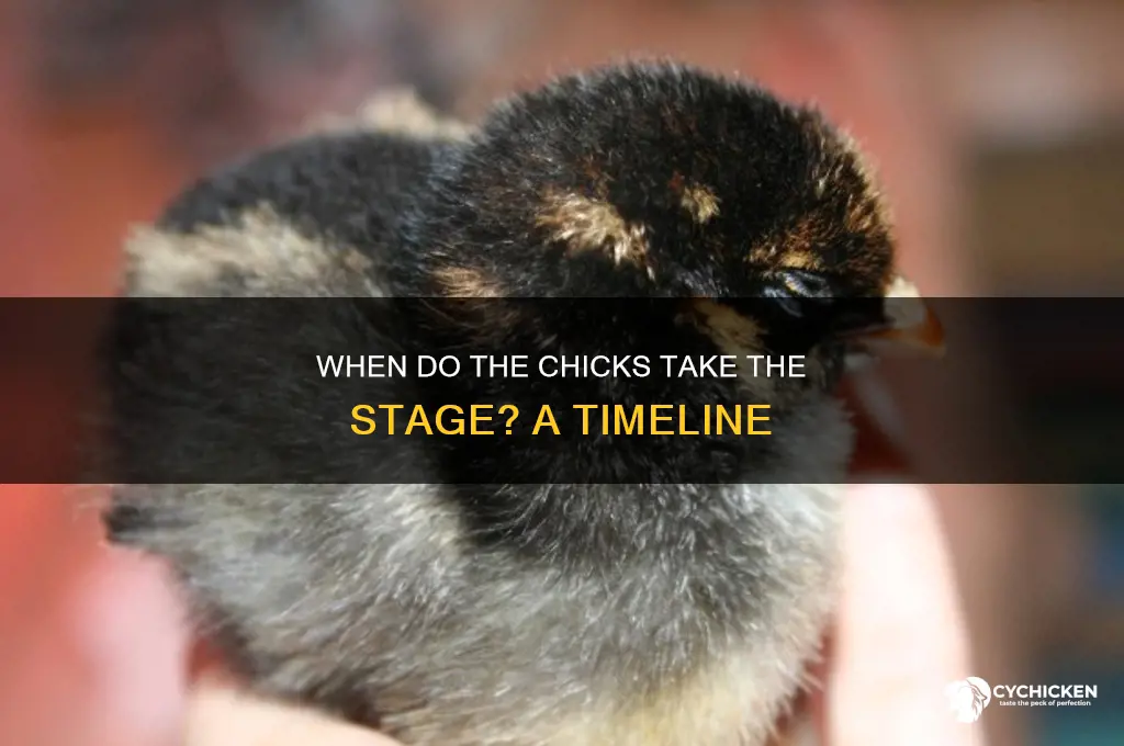 when do the chicks come on stage