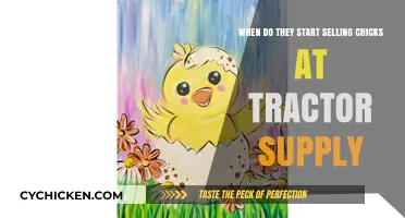Tractor Supply Chick Days: When Do They Start?