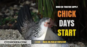 Tractor Supply Chick Days: When Does the Fun Begin?