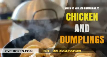 Making Chicken and Dumplings: When to Add Dumplings?