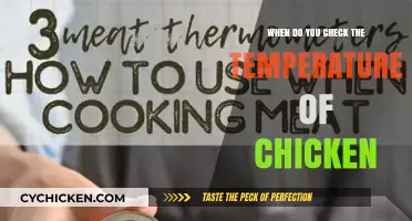 Perfectly Cooked Chicken: When to Check Its Temperature