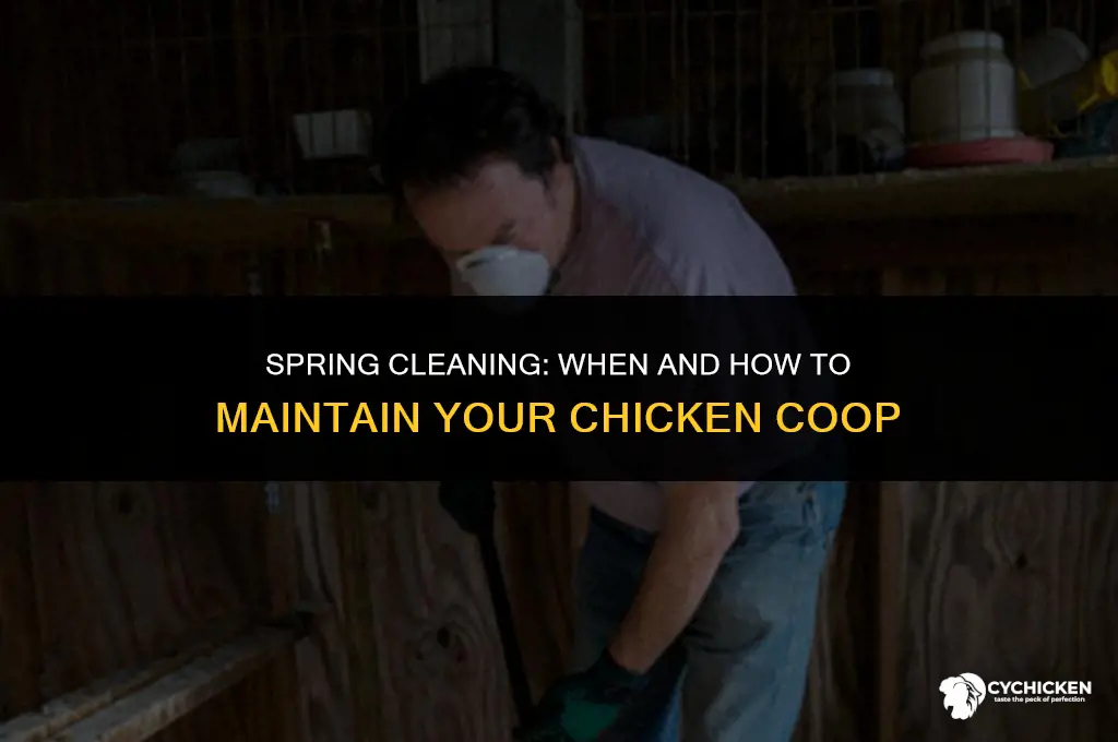 when do you clean chicken coop