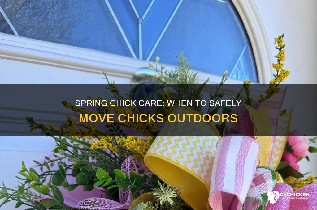 when do you put chicks outside in spring