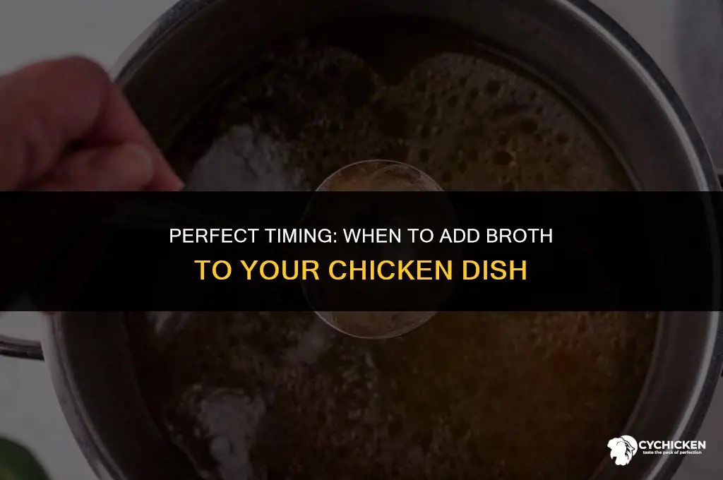 when do you put in the broth while cooking chicken