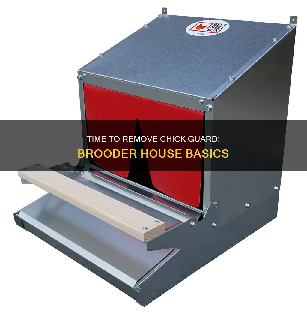 when do you remove chick guard inside a brooder house