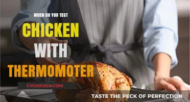 Perfectly Cooked Chicken: When and How to Use a Thermometer