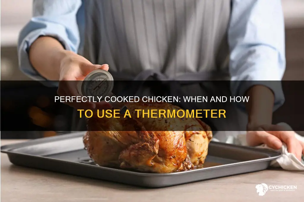 when do you test chicken with thermomoter