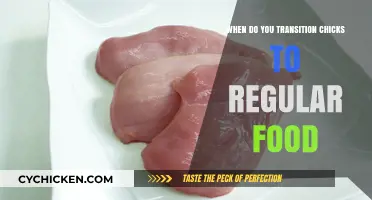 Transitioning Chicks to Regular Food: Timing and Tips for Success