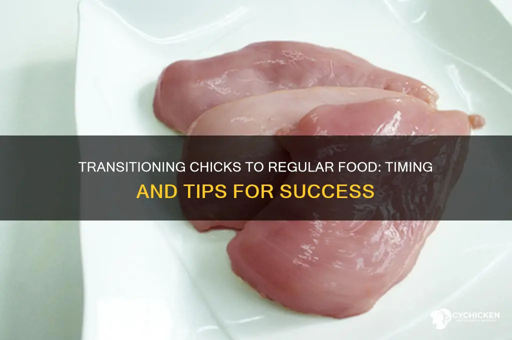 when do you transition chicks to regular food