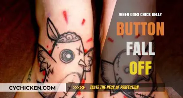 When Do Chick Belly Buttons Fall Off? A Hatchling Guide