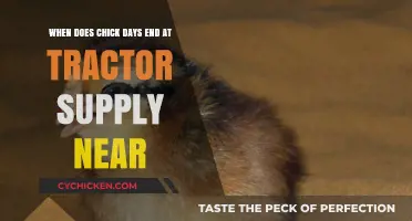 Chick Days at Tractor Supply: When Does the Sale End?