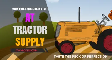 When Does Chick Season Begin at Tractor Supply?