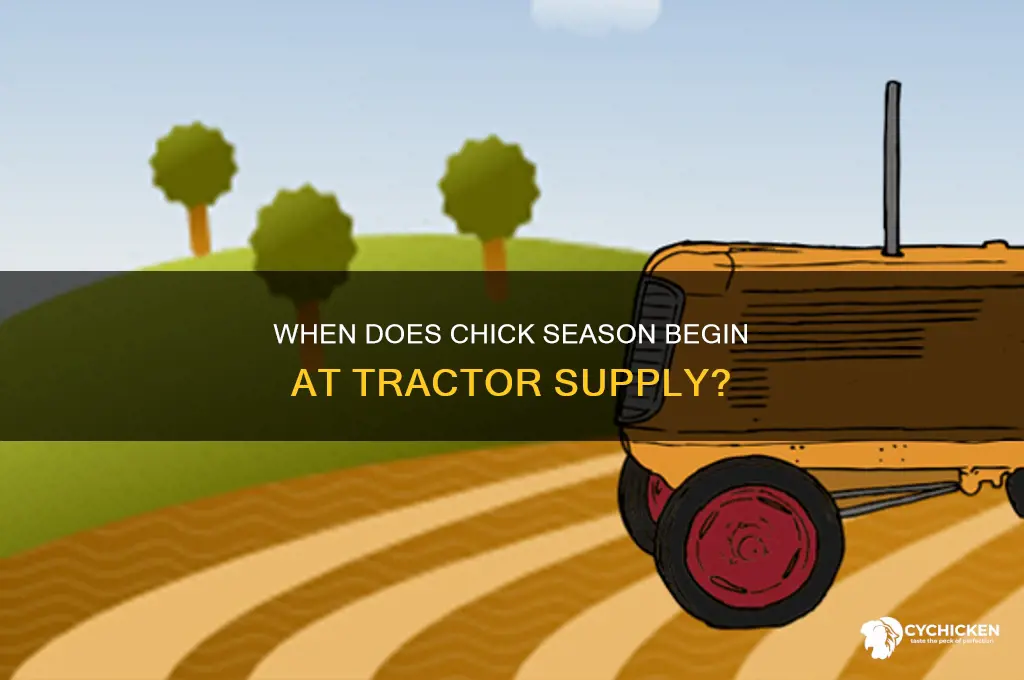 when does chick season start at tractor supply