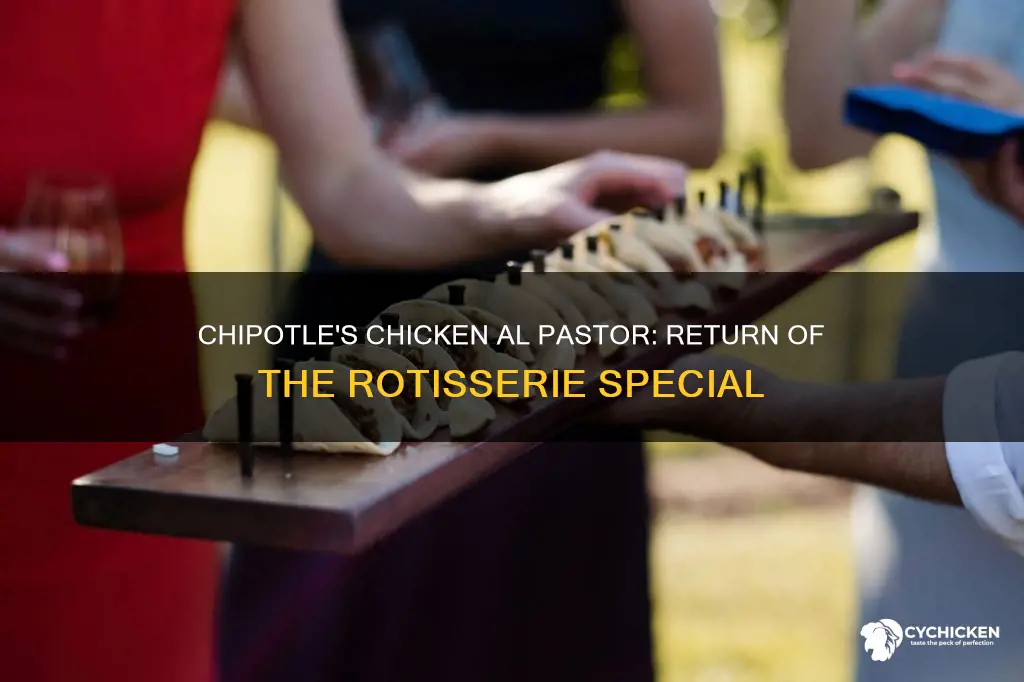 when does chicken al pastor come back to chipotle