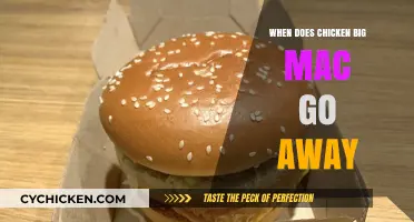 Chicken Big Mac Discontinuation: When Will It Leave McDonald's Menu?