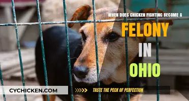 Chicken Fighting: Ohio's Felony Threshold