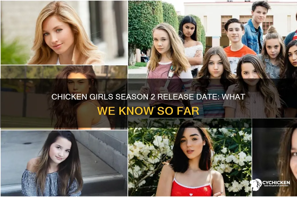 when does chicken girls season 2 come out