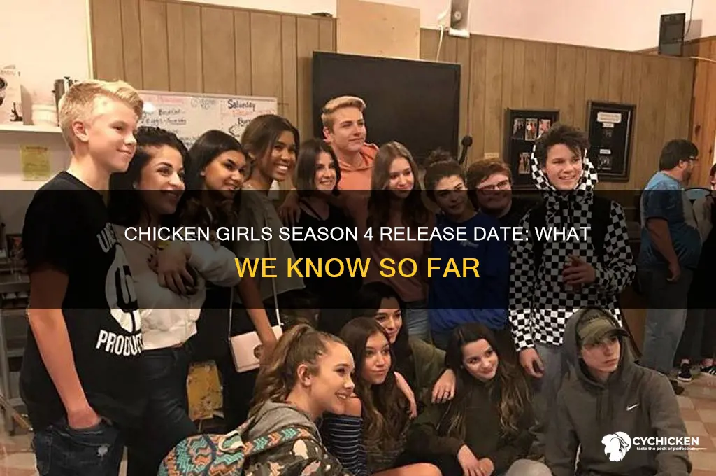 when does chicken girls season 4 come out