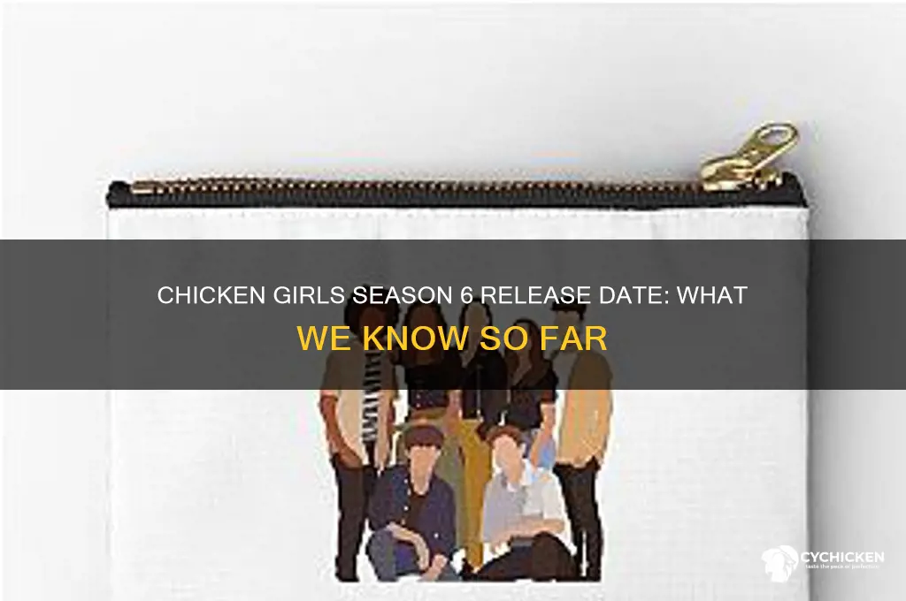 when does chicken girls season 6 start