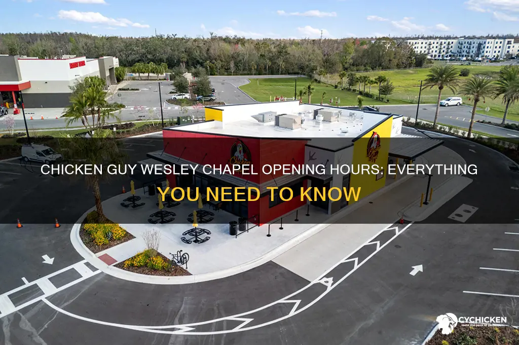 when does chicken guy open in wesley chapel