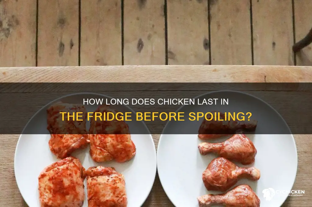 when does chicken spoil in the fridge