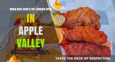 Dave's Hot Chicken Opening Day in Apple Valley