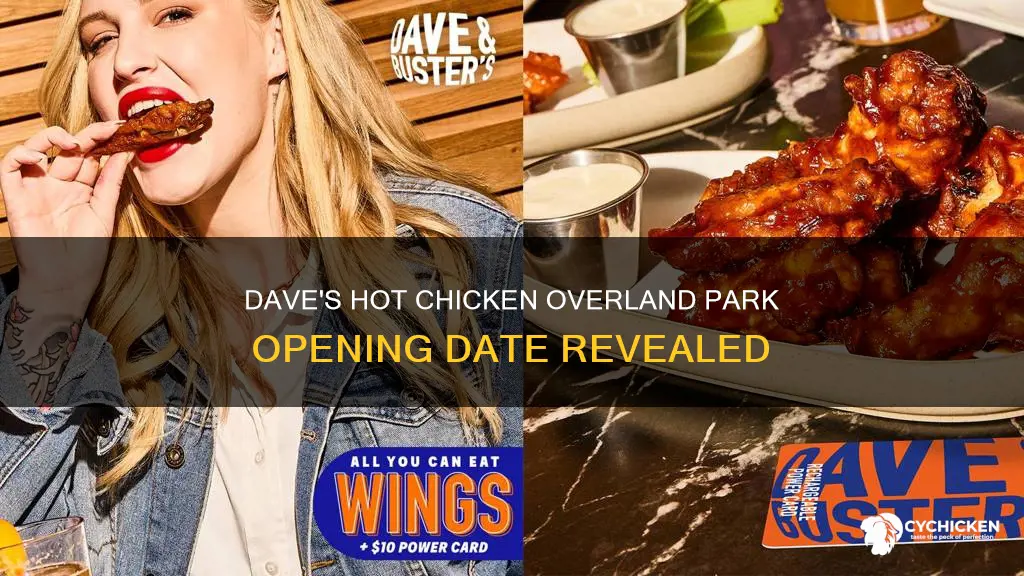 when does dave