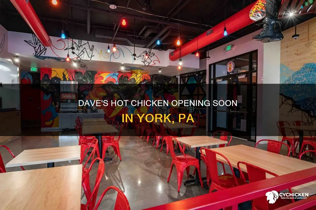when does dave
