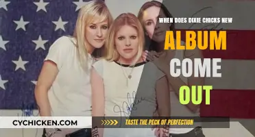 Dixie Chicks' New Album Release Date: What We Know So Far