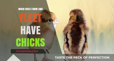 Farm and Fleet's Chick Arrival Schedule: When to Expect Them
