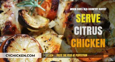Savor the Flavor: Citrus Chicken at Old Country Buffet