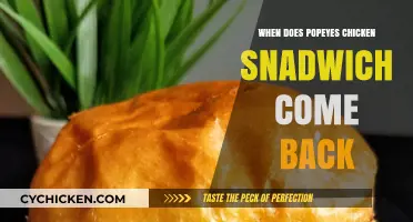 Popeyes Chicken Sandwich Return: Anticipated Comeback Date Revealed