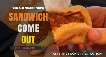 Taco Bell's Chicken Sandwich Release Date: What We Know So Far