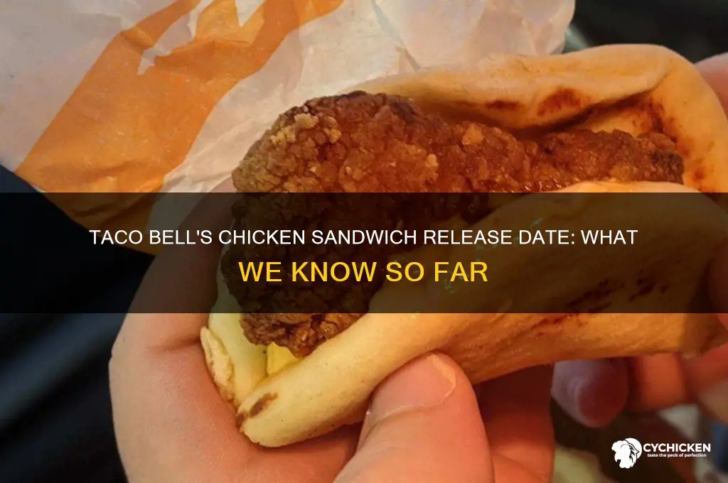 when does taco bell chicken sandwich come out