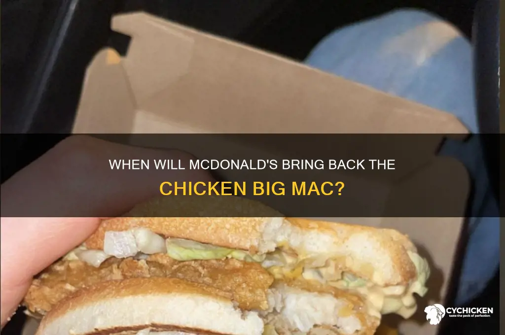 when does the chicken big mac come back