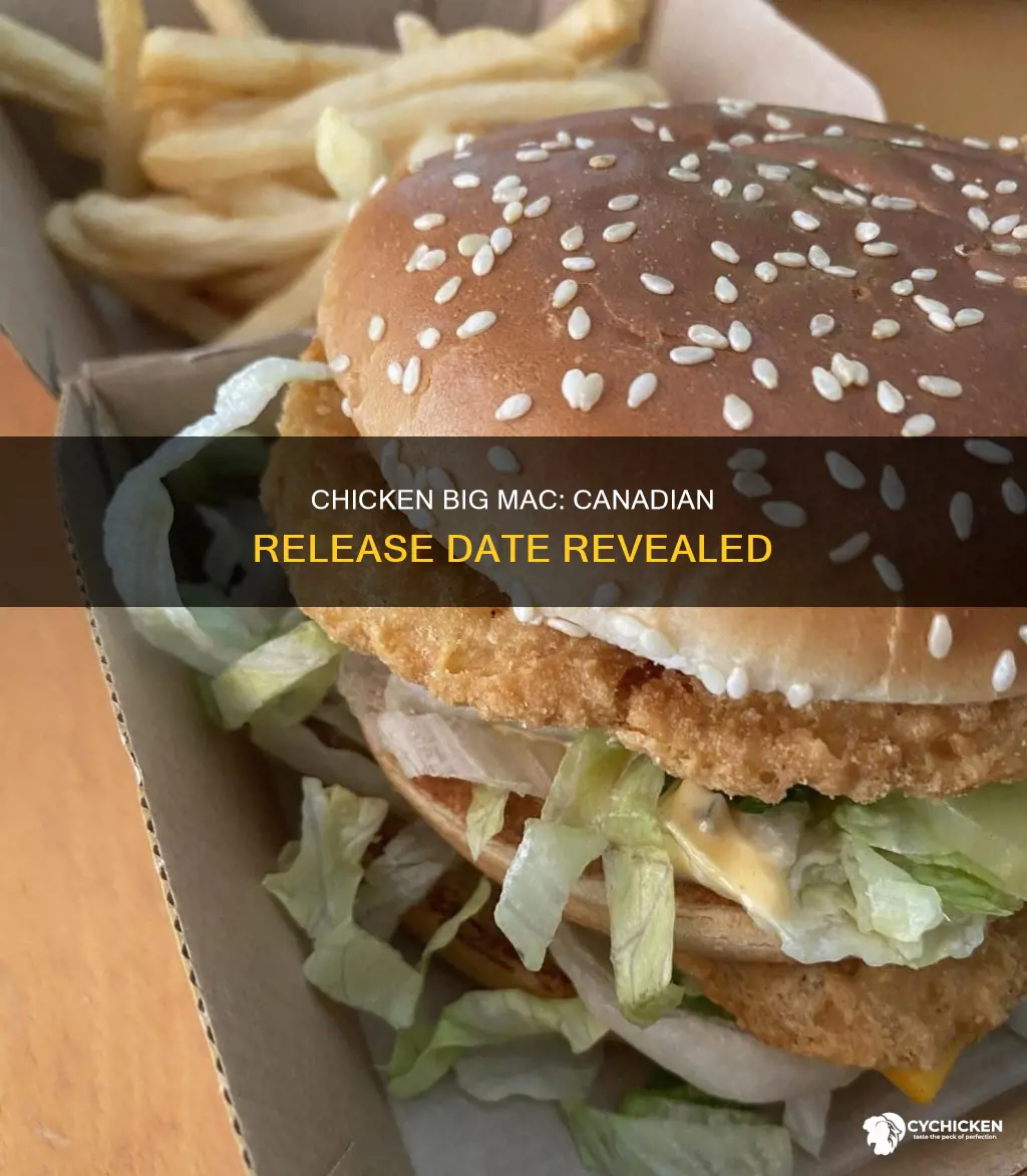 when does the chicken big mac come out in canda