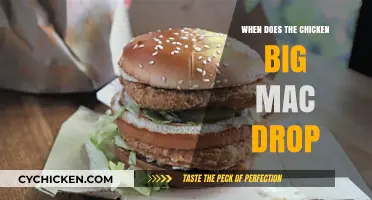 Chicken Big Mac Release Date: When Can You Try It?
