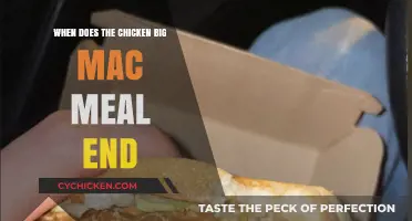 Chicken Big Mac Meal: Limited-Time Offer Ending Soon – Don't Miss Out!