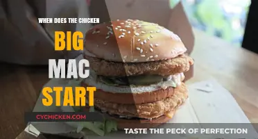 When Does the Chicken Big Mac Launch? Everything You Need to Know