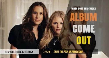 Chicks Album Release Date: When Can Fans Expect New Music?