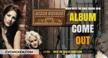Dixie Chicks' New Album: Release Date and What to Expect