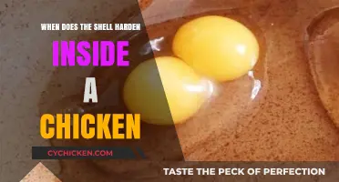 Understanding the Shell Hardening Process in Developing Chicken Eggs